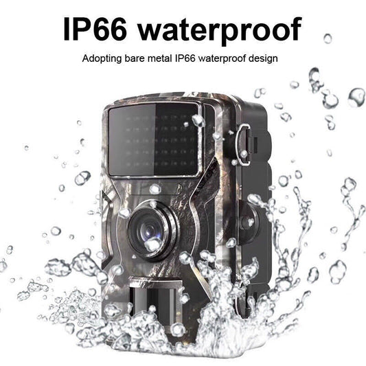 FOTOTRAPPOLA DA CACCIA A INFRAROSSI