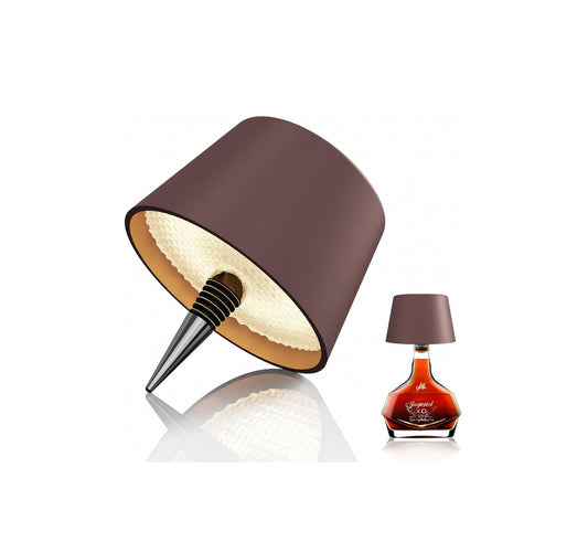 LAMPADA RICARICABILE DA BOTTIGLIA